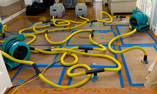 Professional Flood Damage Restoration technician working in Norman Park, GA
